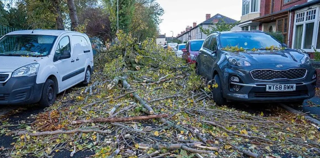 Storm Boelo Batters Britain as More Than 57,000 Homes Lose Power