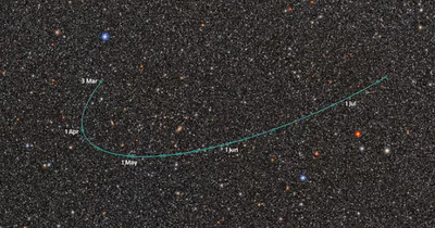 Possible New Dwarf Planet Discovered Beyond Pluto by Telescope in Chile