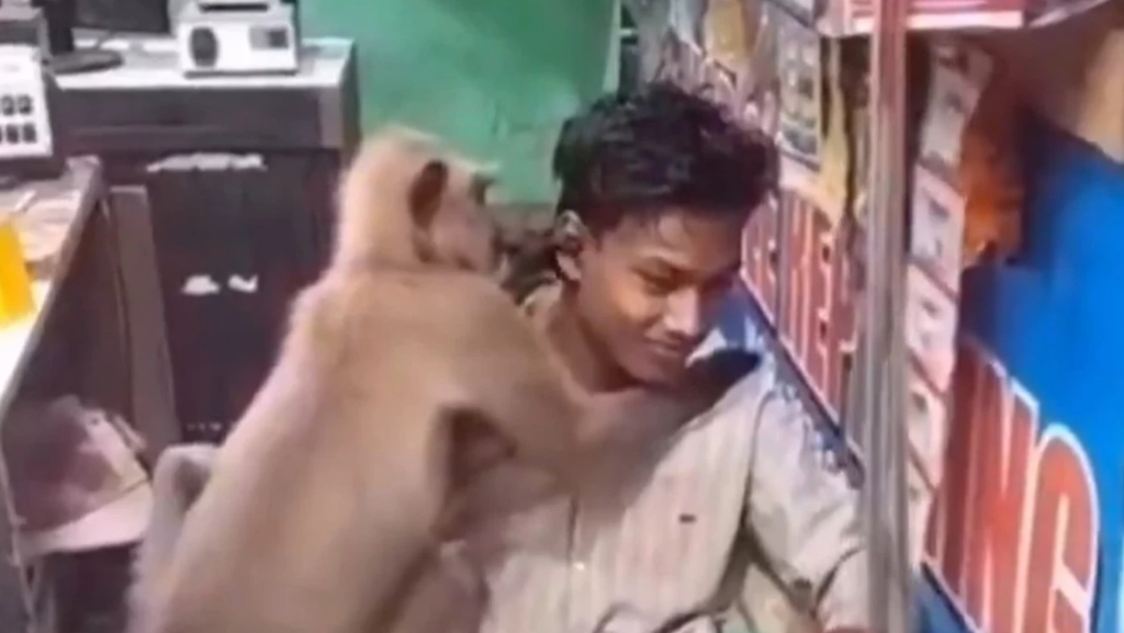 Viral Video Shows Monkey Giving Young Boy Heartwarming Hugs in India